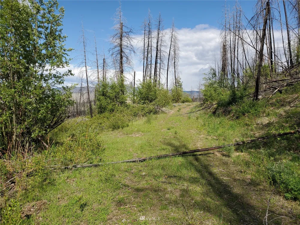 0 960X Knox Road Riverside, WA 98849