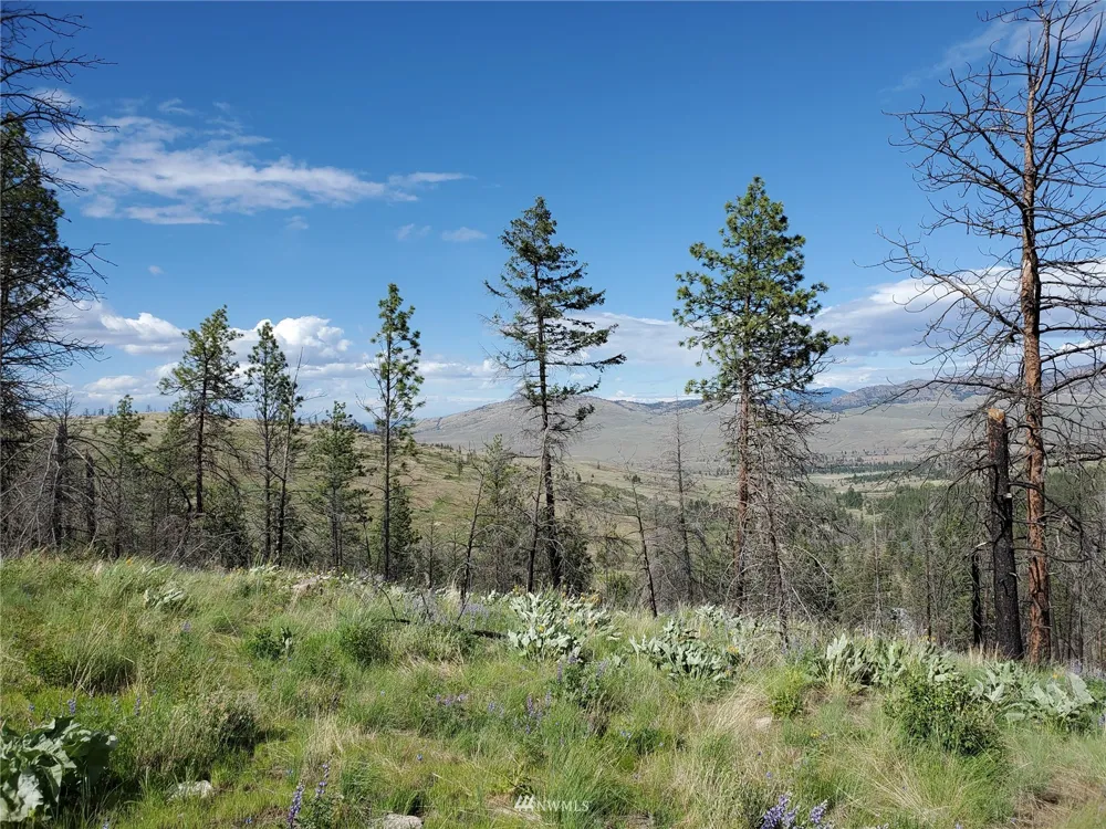 0 960X Knox Road Riverside, WA 98849