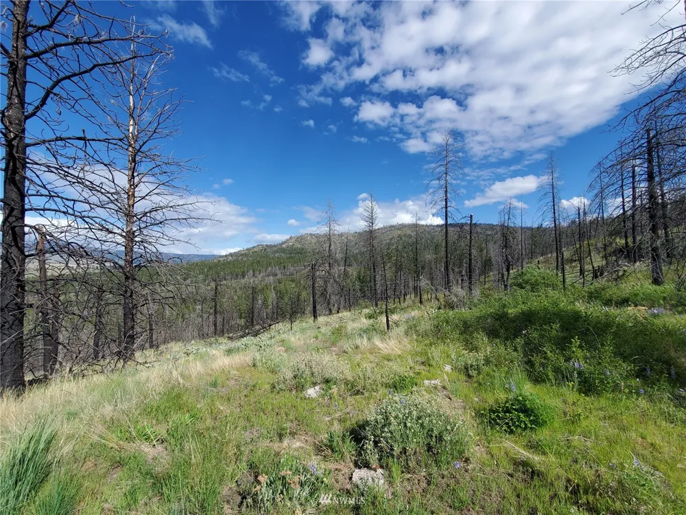 0 960X Knox Road Riverside, WA 98849