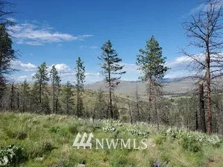 0 960X Knox Road Riverside, WA 98849
