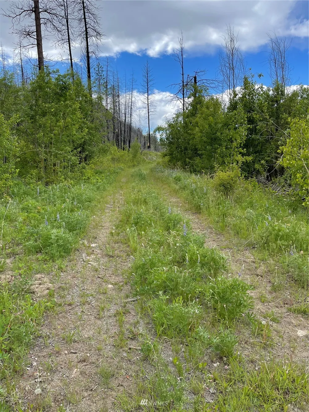 0 960X Knox Road Riverside, WA 98849