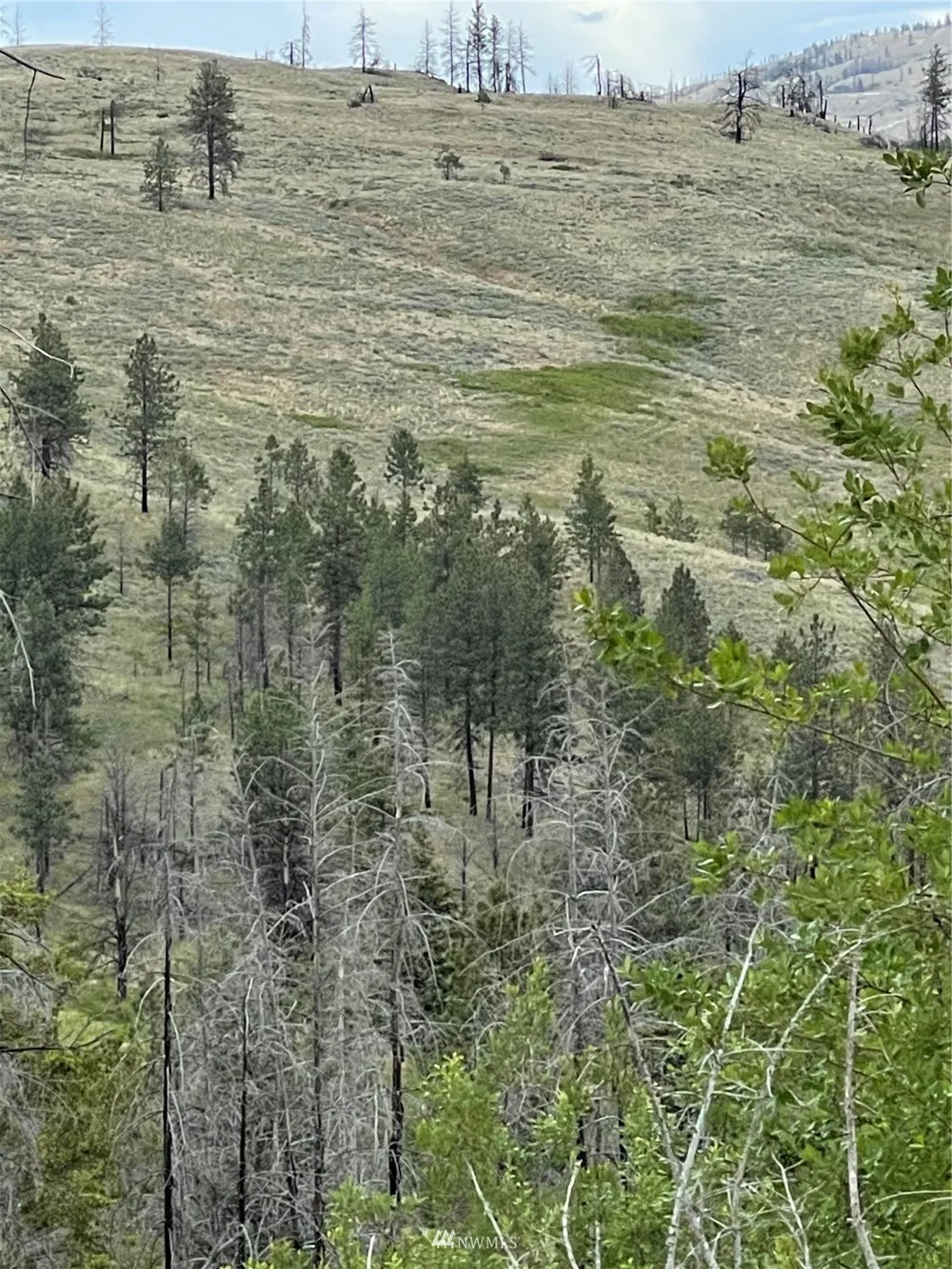 0 960X Knox Road Riverside, WA 98849
