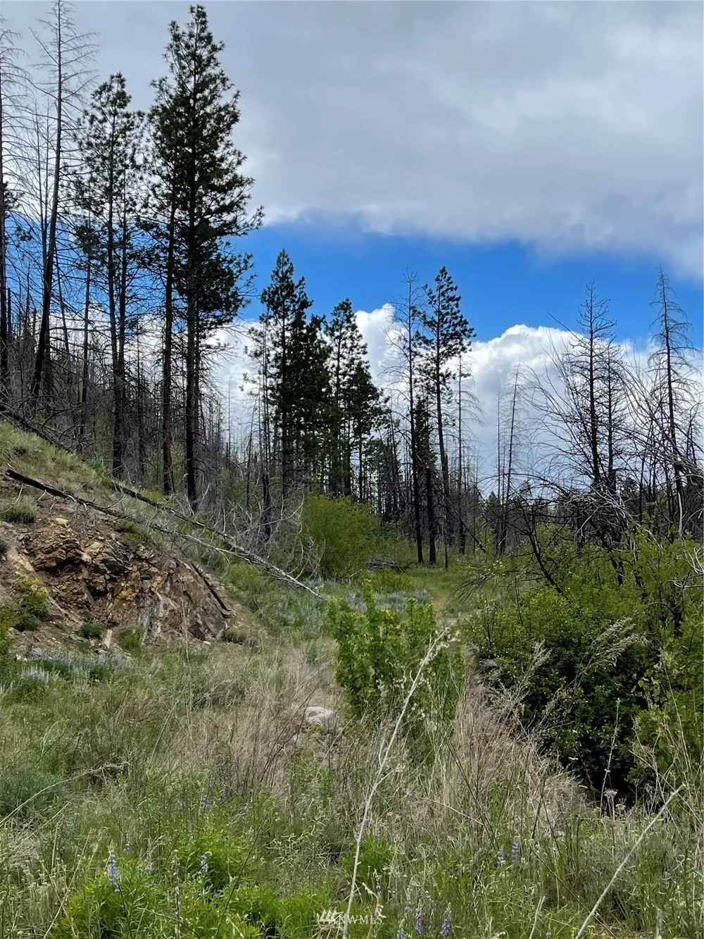 0 960X Knox Road Riverside, WA 98849