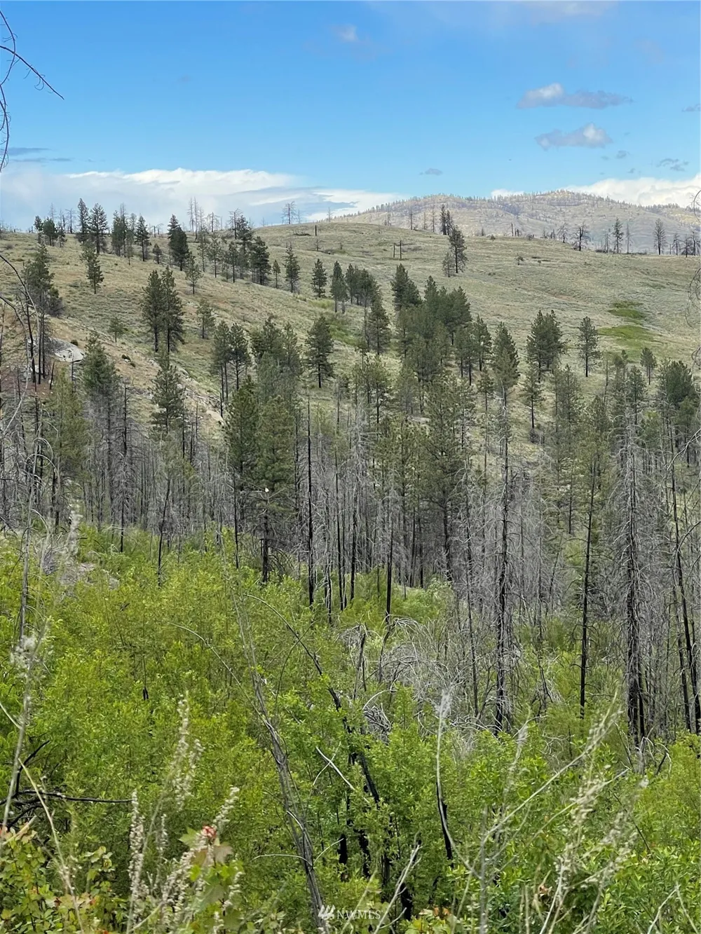 0 960X Knox Road Riverside, WA 98849
