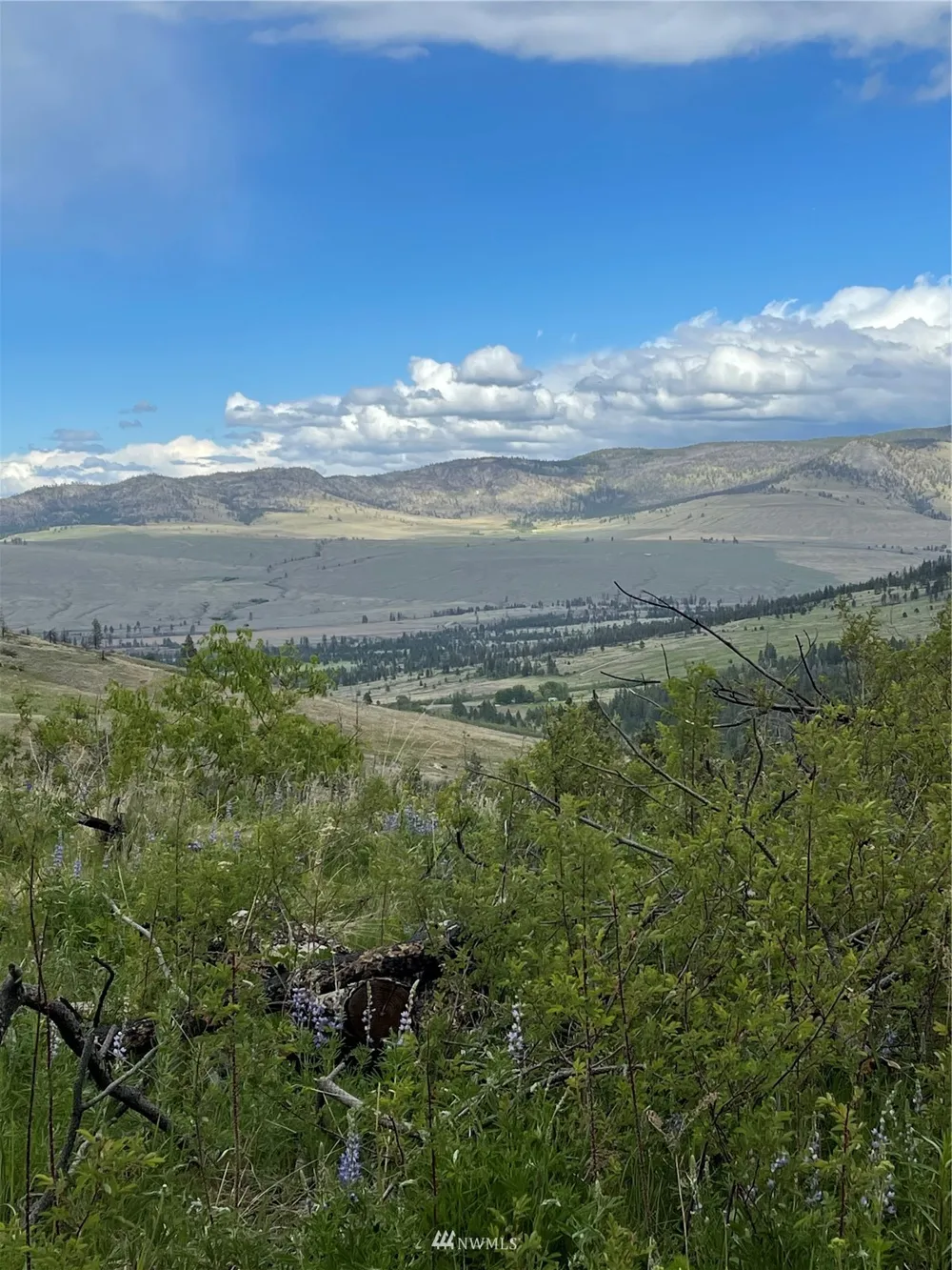0 960X Knox Road Riverside, WA 98849