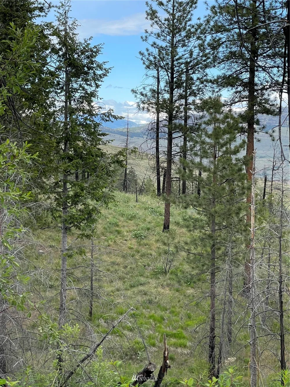 0 960X Knox Road Riverside, WA 98849