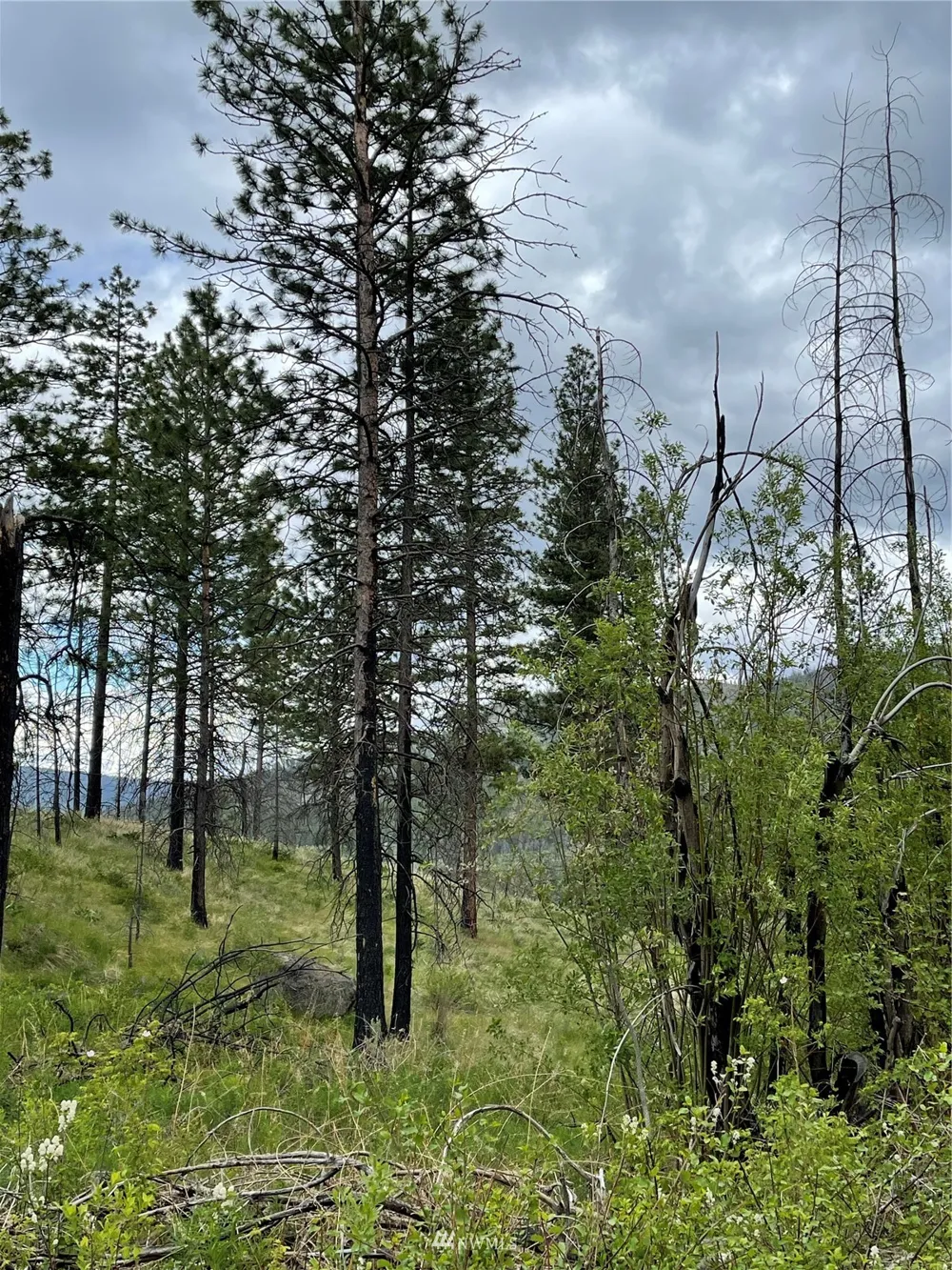 0 960X Knox Road Riverside, WA 98849