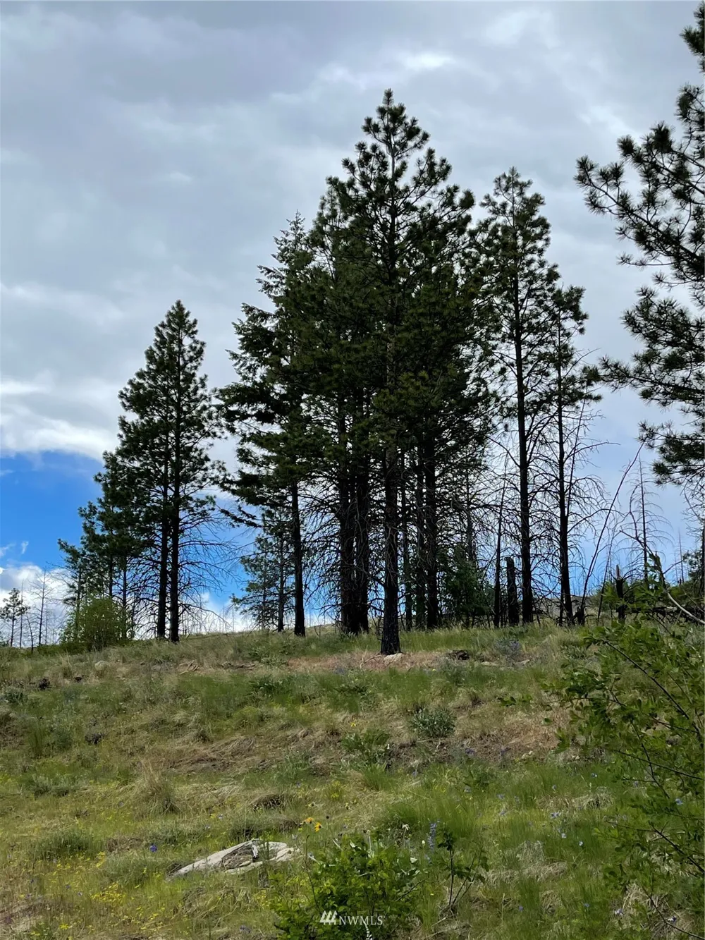 0 960X Knox Road Riverside, WA 98849
