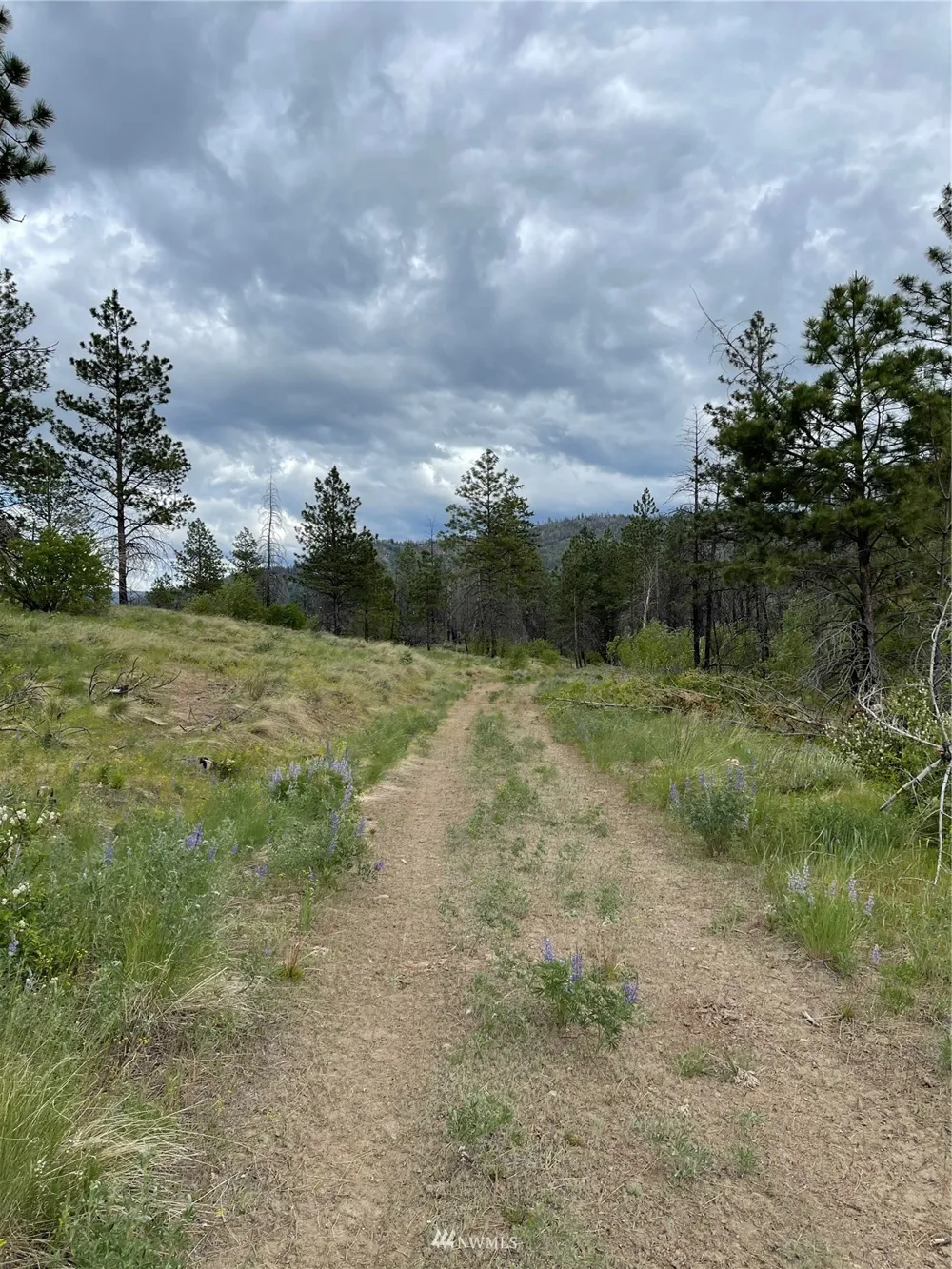 0 960X Knox Road Riverside, WA 98849