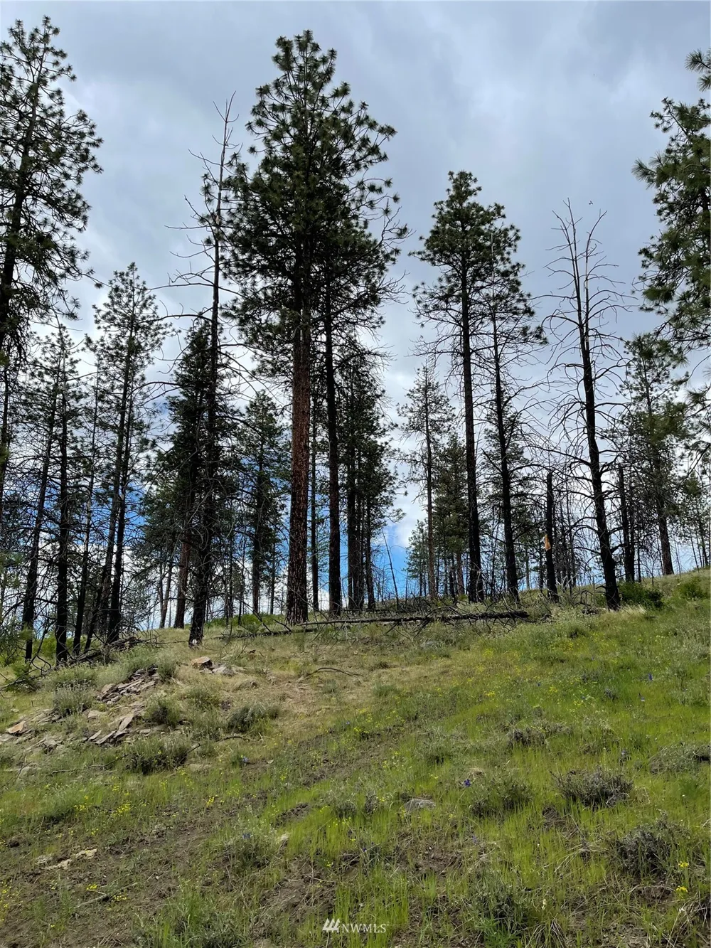 0 960X Knox Road Riverside, WA 98849