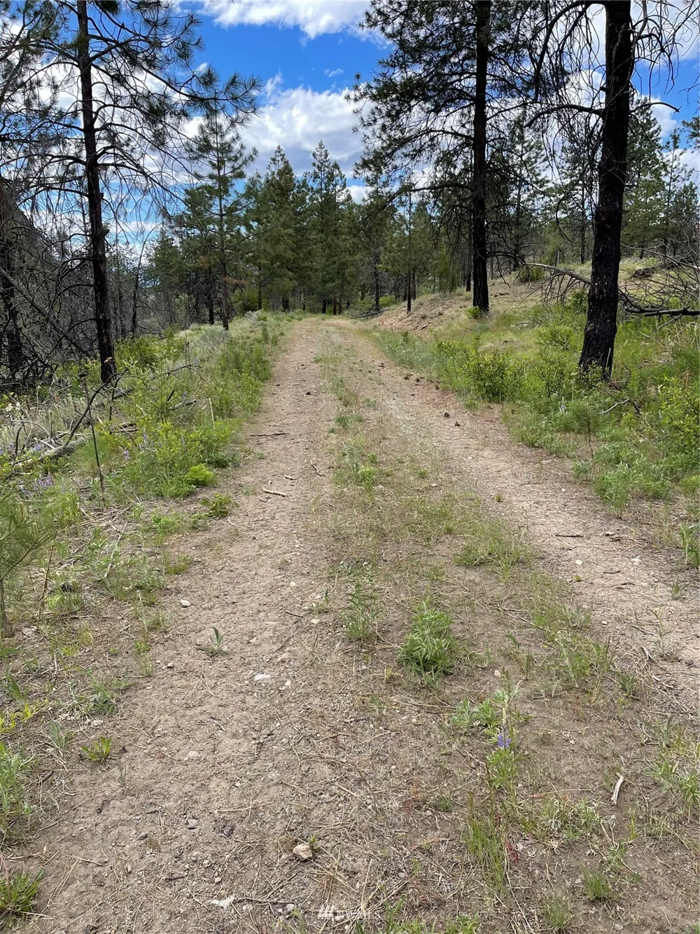 0 960X Knox Road Riverside, WA 98849
