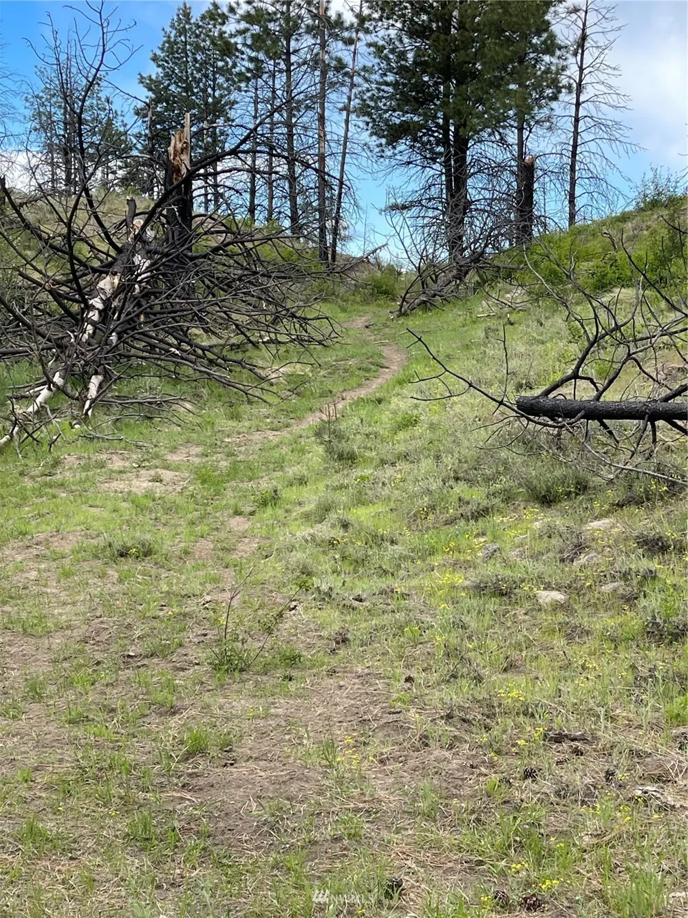 0 960X Knox Road Riverside, WA 98849