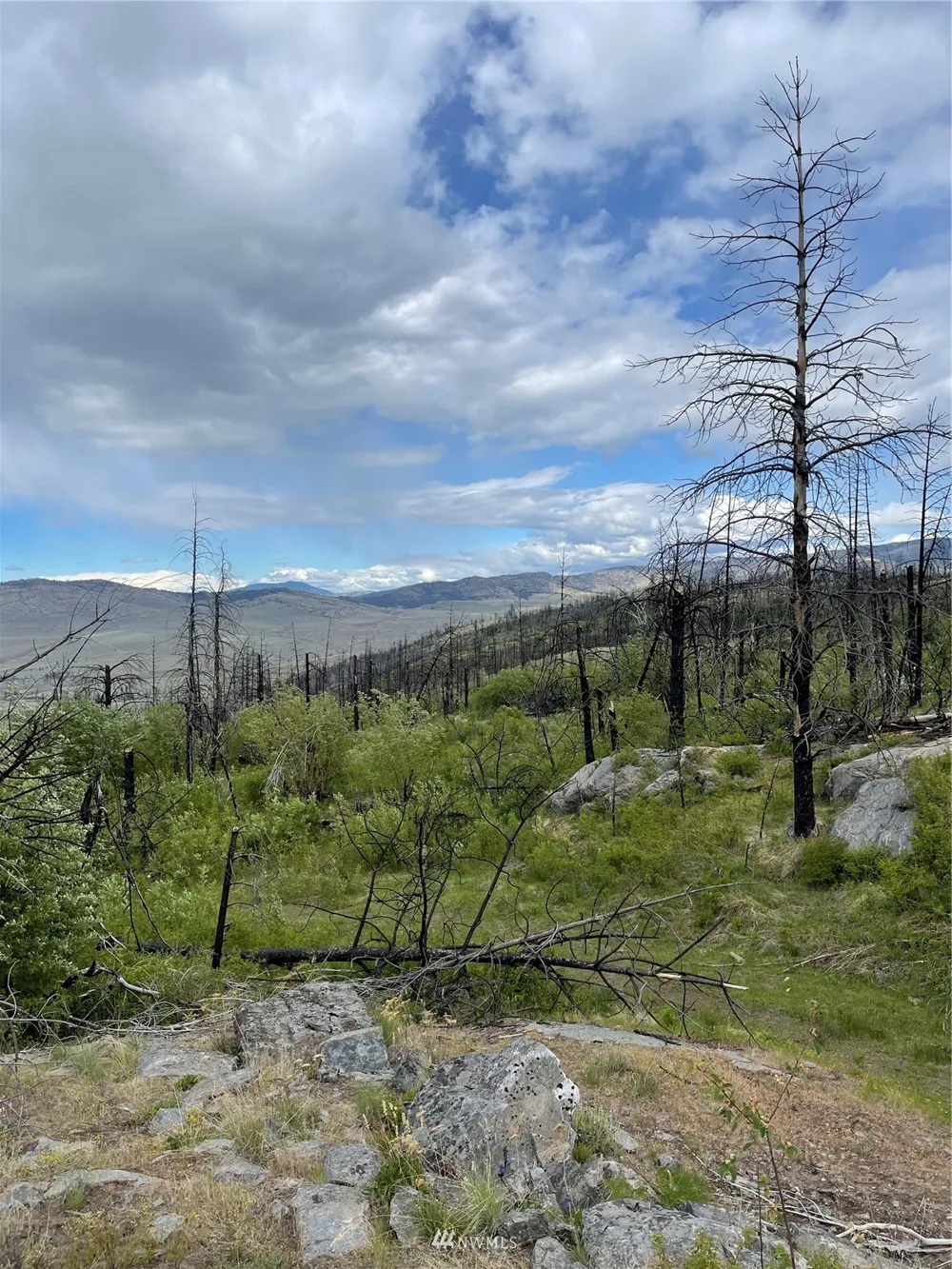 0 960X Knox Road Riverside, WA 98849