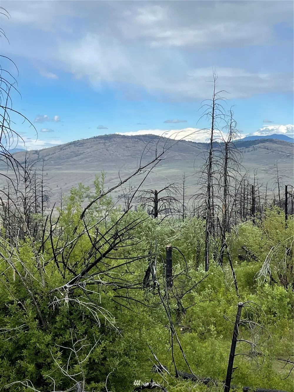0 960X Knox Road Riverside, WA 98849