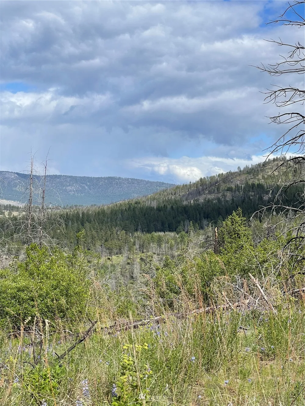 0 960X Knox Road Riverside, WA 98849