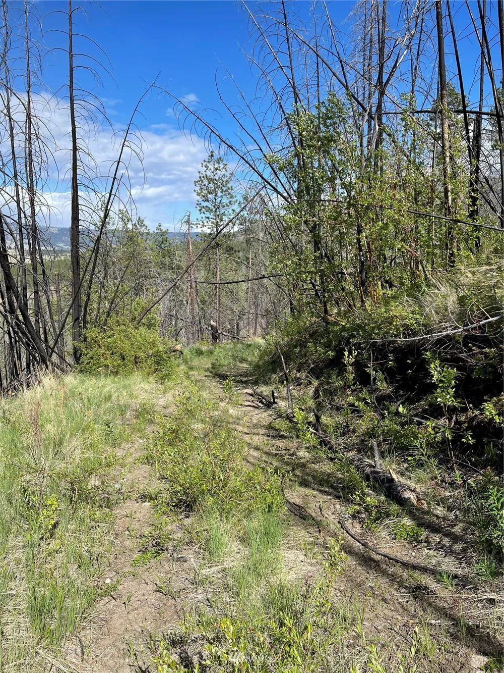0 960X Knox Road Riverside, WA 98849