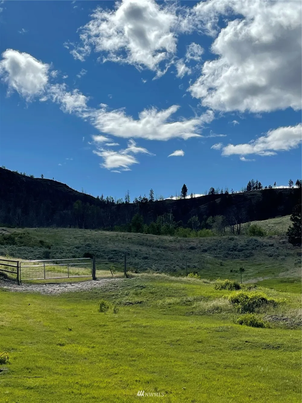 0 960X Knox Road Riverside, WA 98849