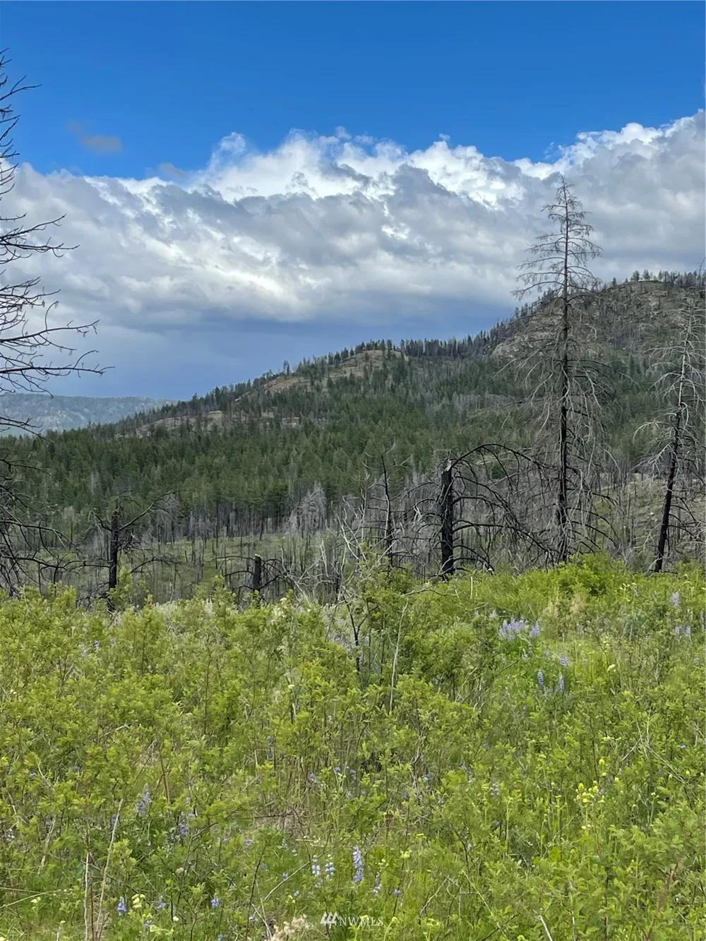 0 960X Knox Road Riverside, WA 98849