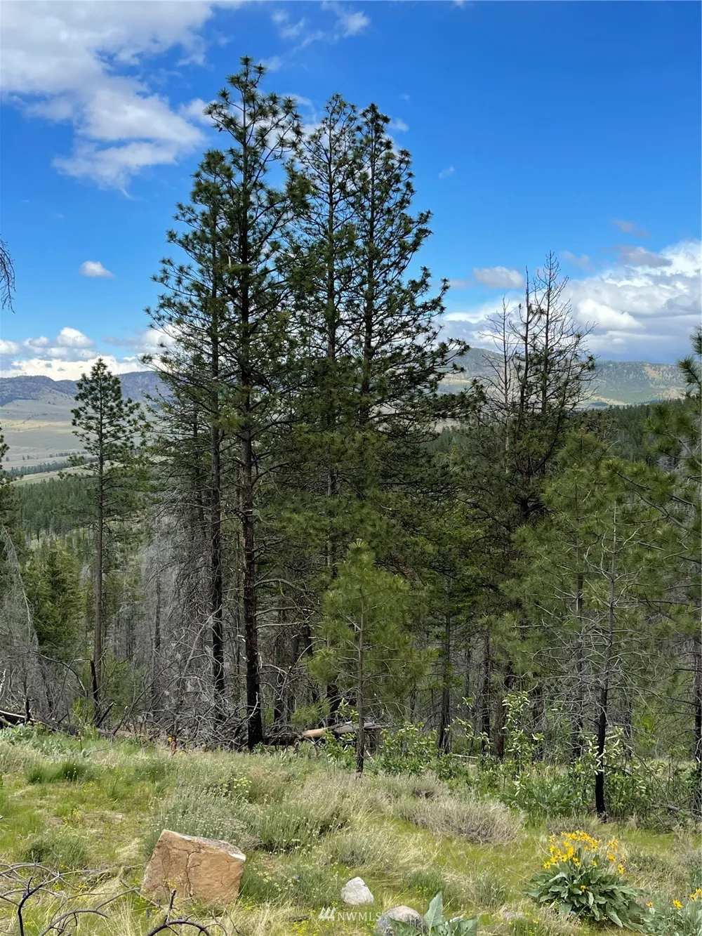 0 960X Knox Road Riverside, WA 98849