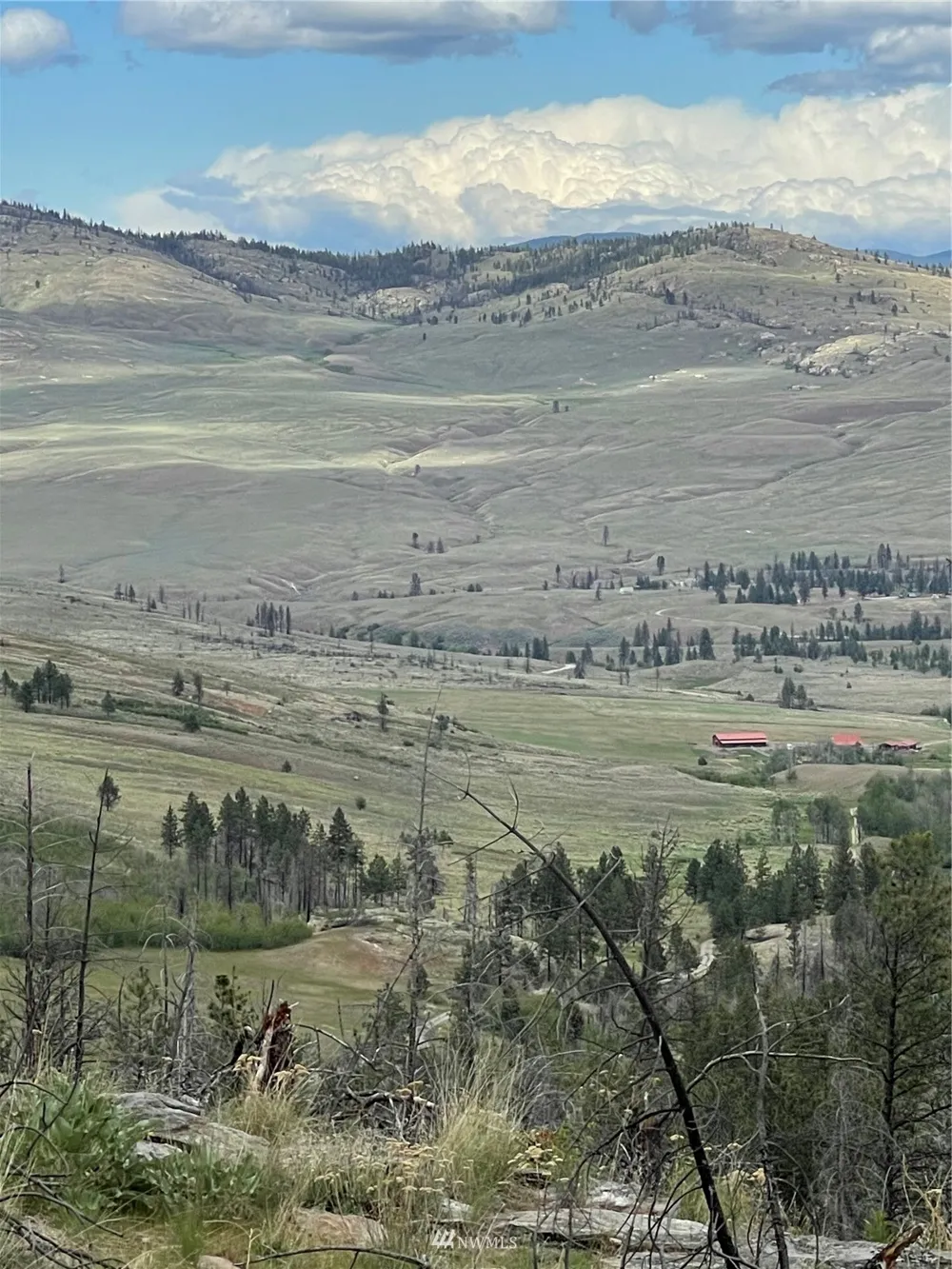 0 960X Knox Road Riverside, WA 98849