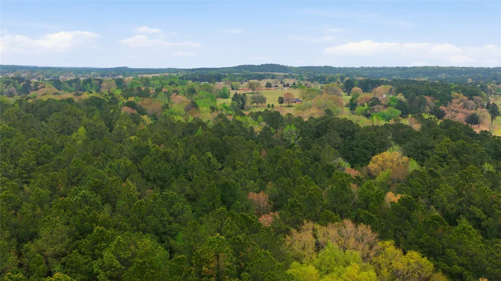 17804 CR 4235 Frankston, TX 75763