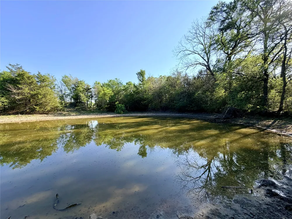 FCR 984 Mexia, TX 76667