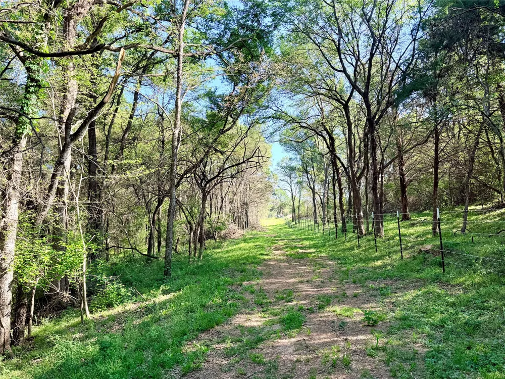 FCR 984 Mexia, TX 76667