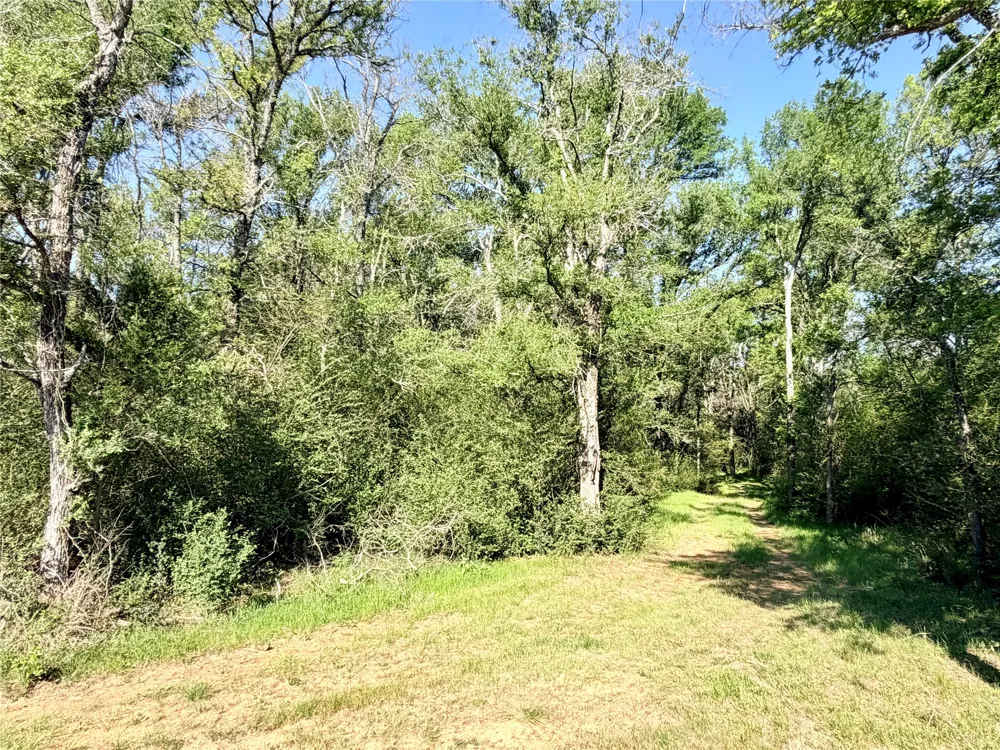 FCR 984 Mexia, TX 76667