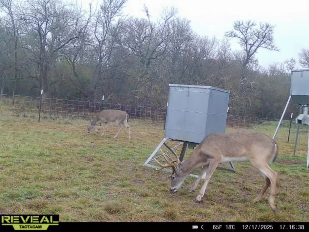 FCR 984 Mexia, TX 76667