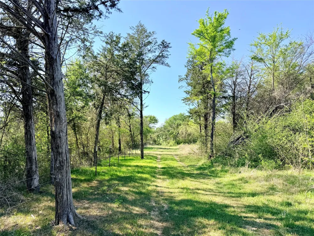 FCR 984 Mexia, TX 76667