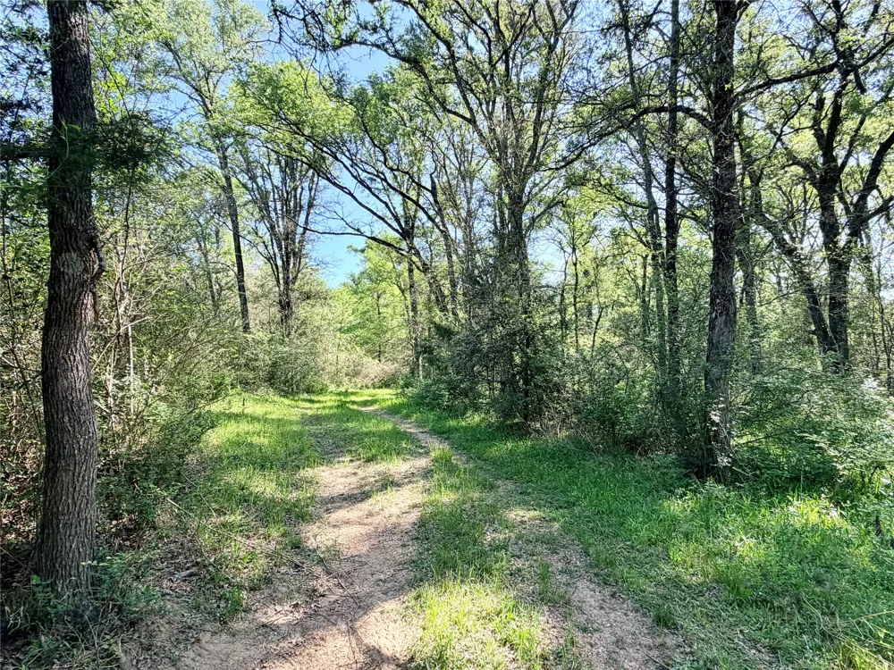 FCR 984 Mexia, TX 76667