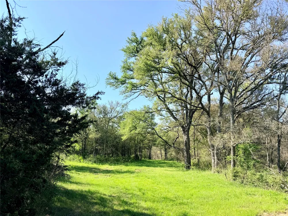 FCR 984 Mexia, TX 76667
