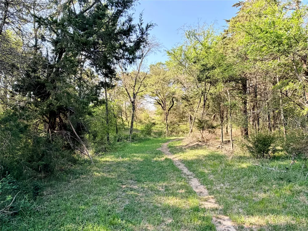 FCR 984 Mexia, TX 76667