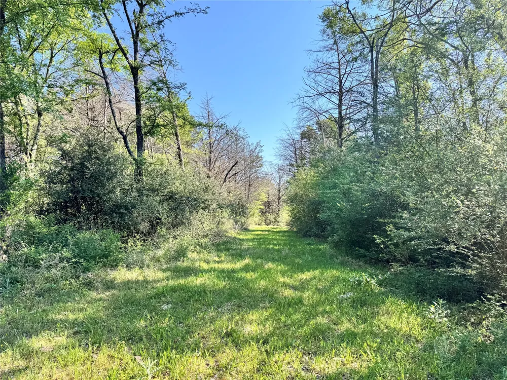 FCR 984 Mexia, TX 76667