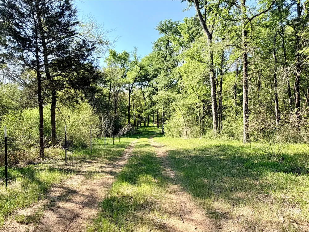 FCR 984 Mexia, TX 76667