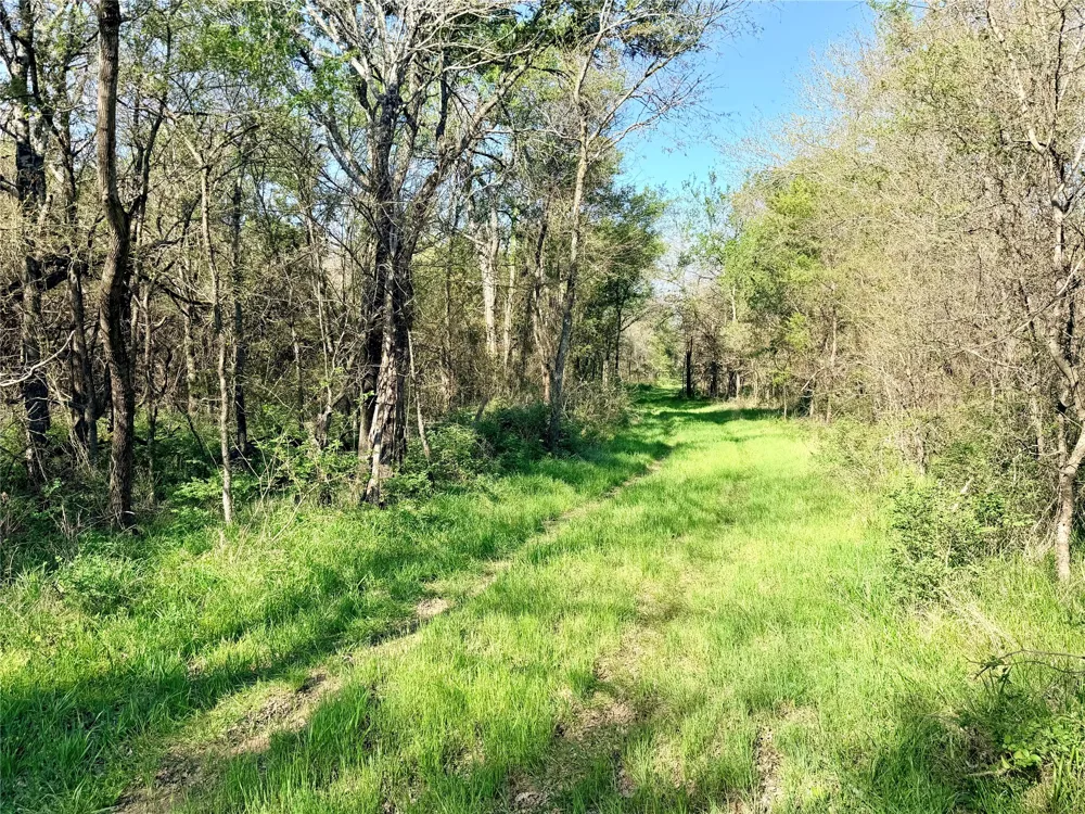 FCR 984 Mexia, TX 76667