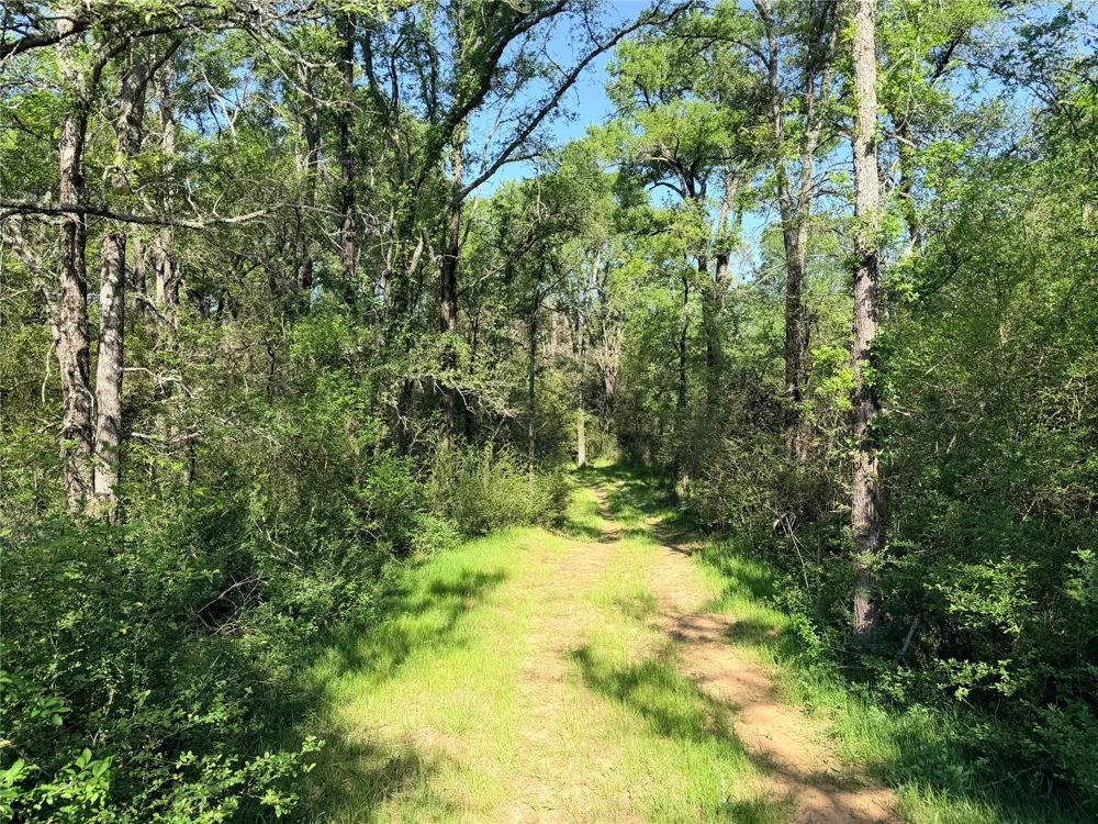 FCR 984 Mexia, TX 76667