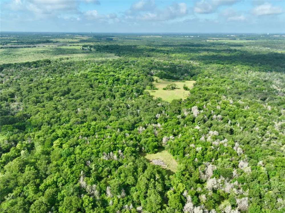 FCR 984 Mexia, TX 76667