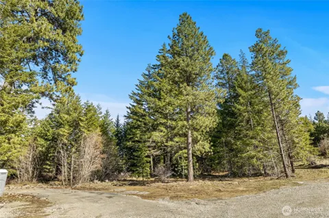 78 Forest Ridge (Lot 78) Drive