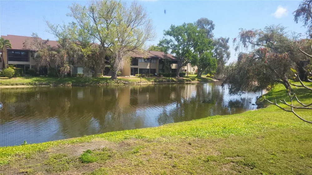 875 S VILLAGE DRIVE #102 St Petersburg, FL 33716