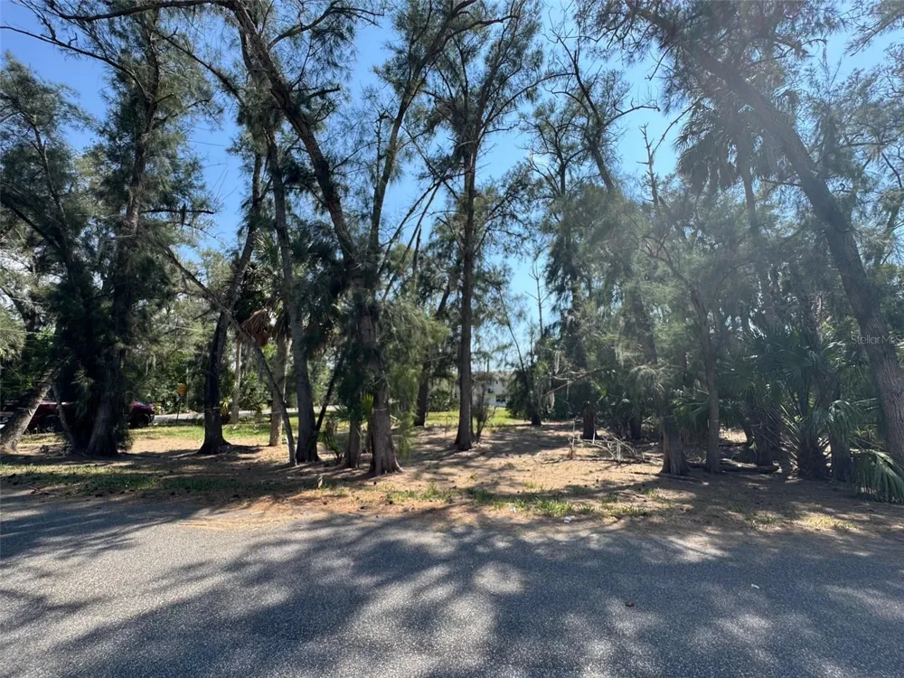 7045 OAKWOOD DRIVE New Port Richey, FL 34652