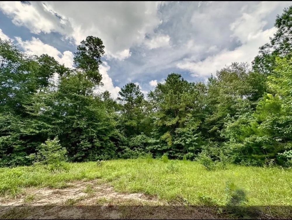 2370 Westville Road Groveton, TX 75845