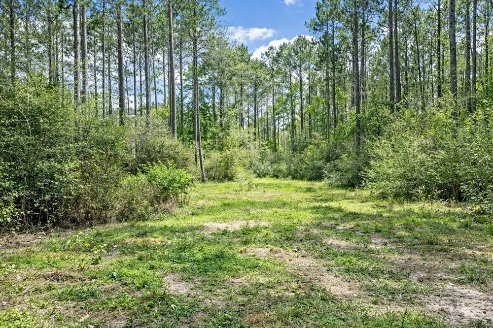 2370 Westville Road Groveton, TX 75845