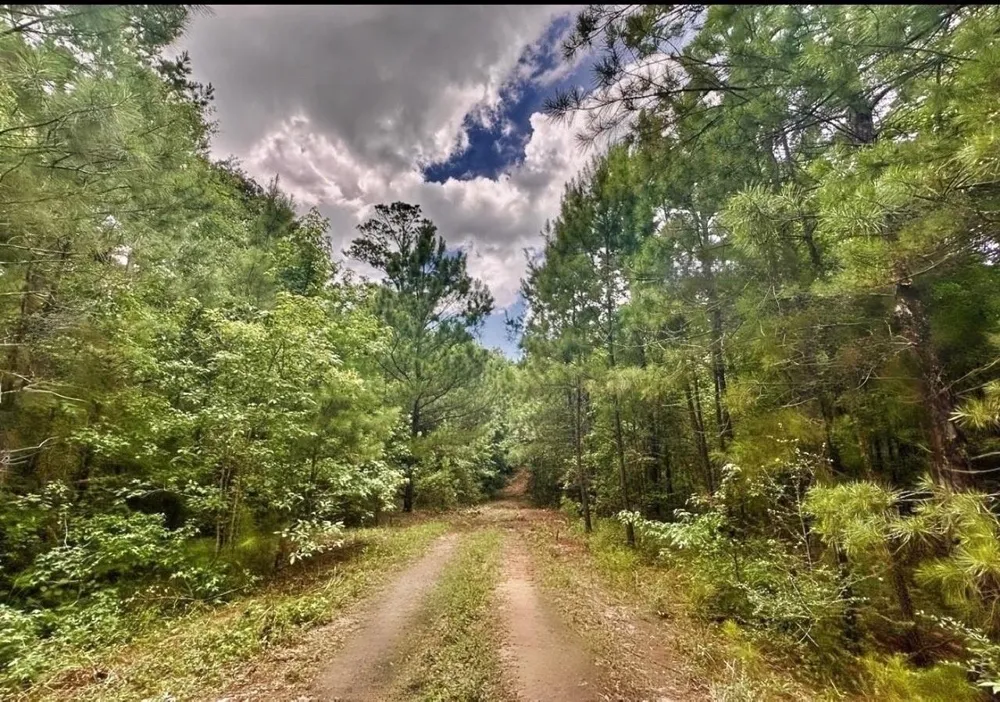 2370 Westville Road Groveton, TX 75845
