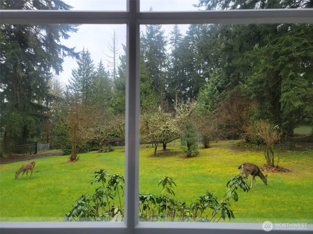 16827 41st Street E Lake Tapps, WA 98391