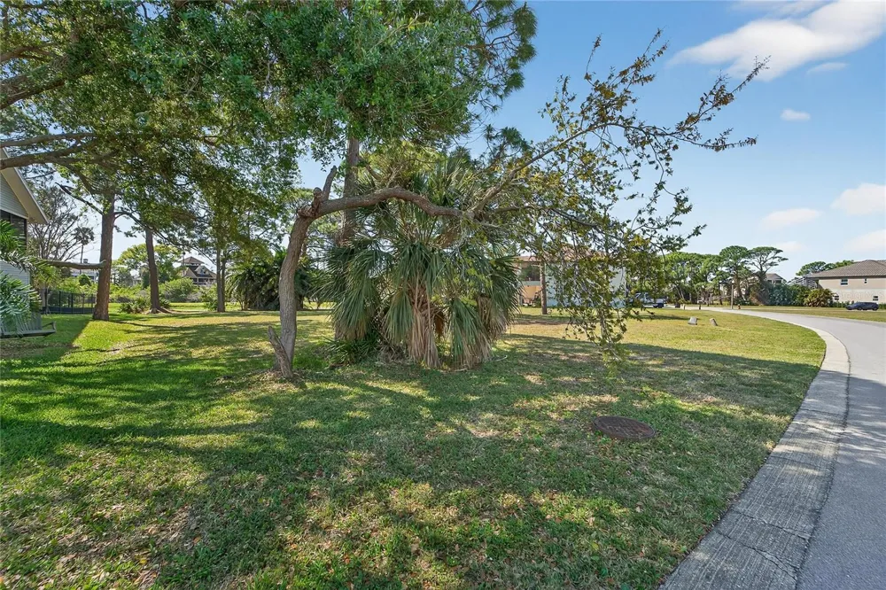 POINTE ALEXIS DRIVE Tarpon Springs, FL 34689