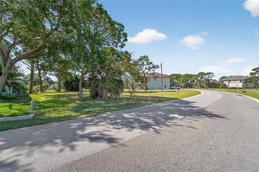 POINTE ALEXIS DRIVE Tarpon Springs, FL 34689