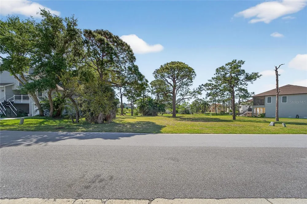 POINTE ALEXIS DRIVE Tarpon Springs, FL 34689