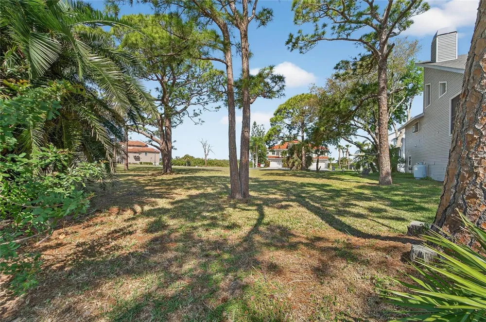 POINTE ALEXIS DRIVE Tarpon Springs, FL 34689