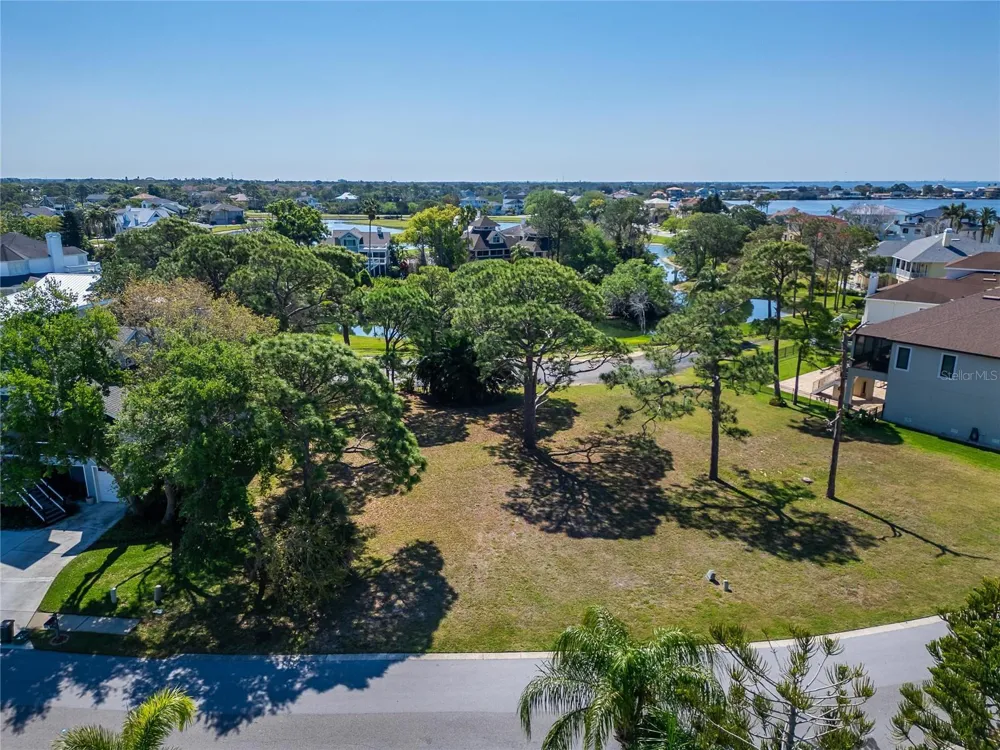 POINTE ALEXIS DRIVE Tarpon Springs, FL 34689